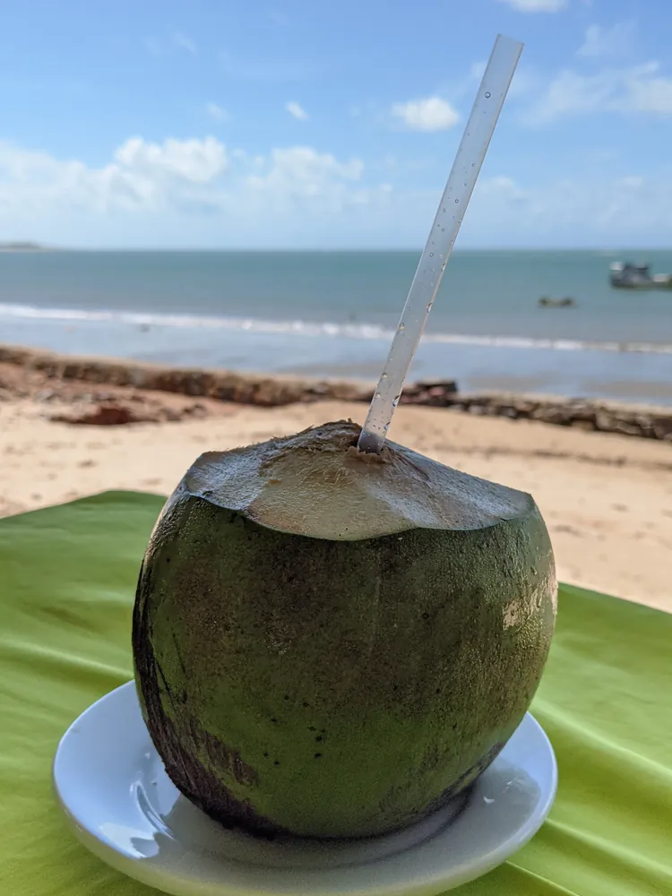 A green coconut on a beach table with the sea behind